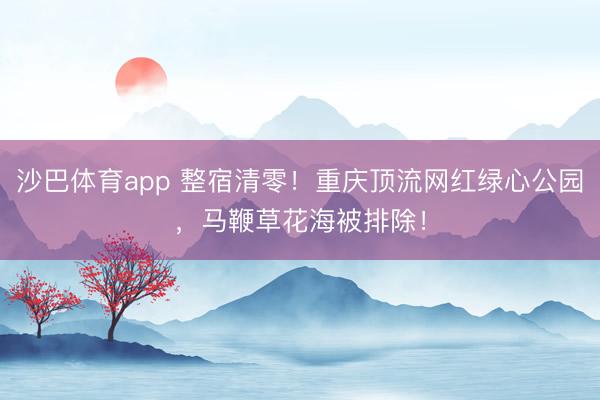 沙巴体育app 整宿清零！重庆顶流网红绿心公园，马鞭草花海被排除！
