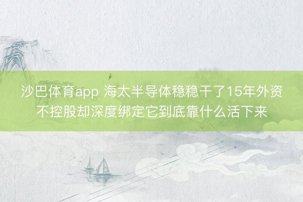 沙巴体育app 海太半导体稳稳干了15年外资不控股却深度绑定它到底靠什么活下来