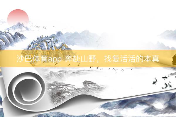 沙巴体育app 奔赴山野，找复活活的本真