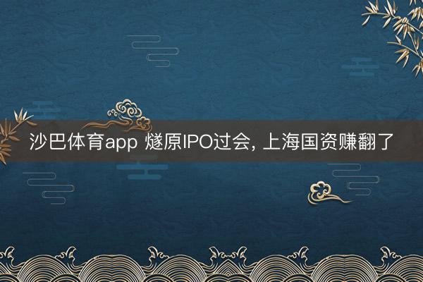 沙巴体育app 燧原IPO过会， 上海国资赚翻了