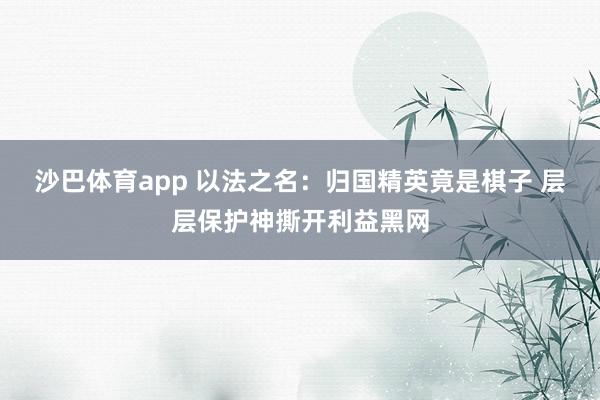 沙巴体育app 以法之名：归国精英竟是棋子 层层保护神撕开利益黑网