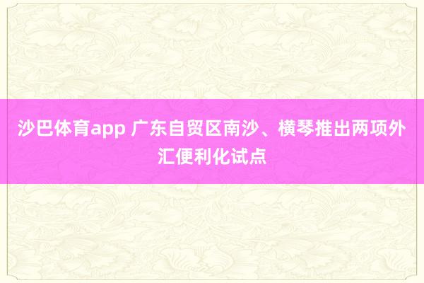 沙巴体育app 广东自贸区南沙、横琴推出两项外汇便利化试点